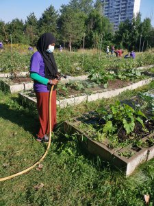 foy person watering plants